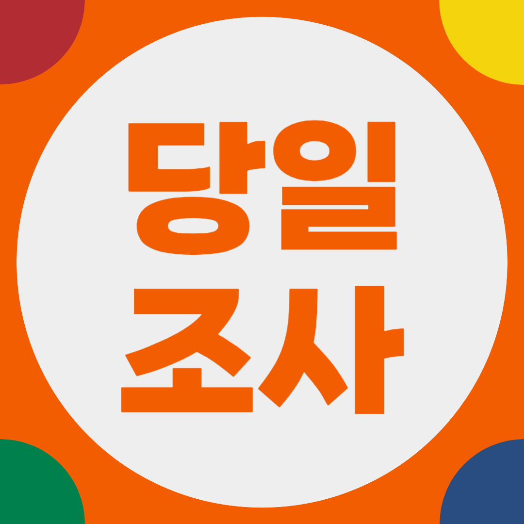 당일조사 서비스